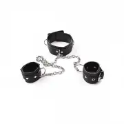 Кляпы, ошейники scala