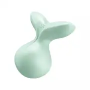 Вибраторы бирюзовый