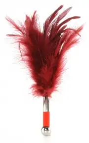 Бдсм и фетиш, перья