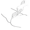 Вибромассажер Shunga Zoa Raspberry, двусторонний photo 6