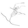 Вибромассажер Shunga Zoa Raspberry, двусторонний photo 5