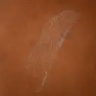 Сухое масло-шиммер для волос и тела Bijoux Indiscrets Slow Sex Hair and skin shimmer dry oil photo 6