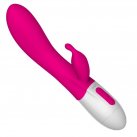 Вибратор с подогревом Leten Female Vibrator (аккумулятор 3.7V) photo 1