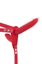 Двойной страпон с вибрацией Fetish Tentation Vibrating Strap-On with Double Dildo Red photo 1